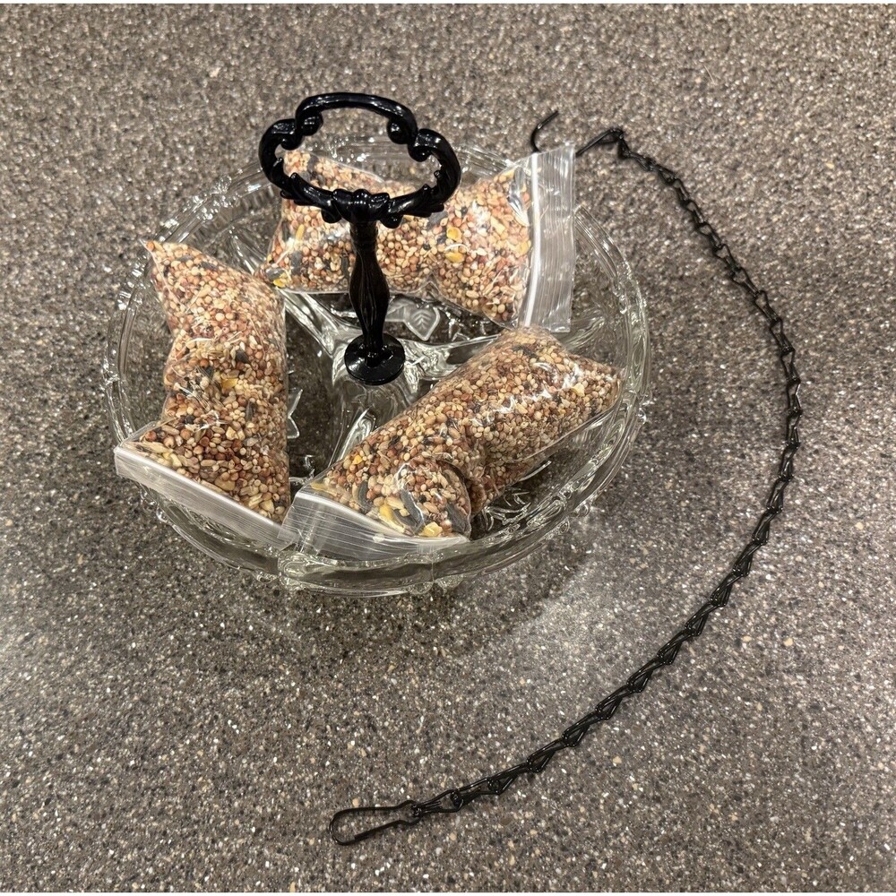 Bird Feeder - Repurposed Heavy Glass 8.25" x 6.25" w/Decorative Chain & Eye Bolt